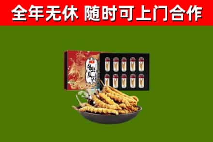 新乐回收冬虫夏草价格